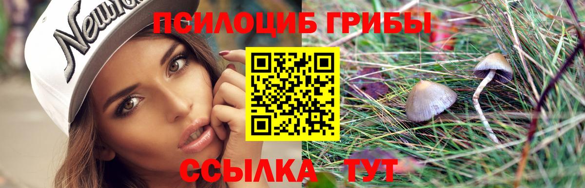 Псилоцибиновые грибы Cubensis  Вход с VPN  сколько стоит  Всеволожск 